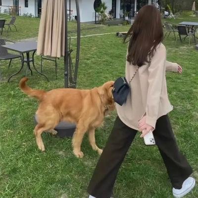 水栖家族